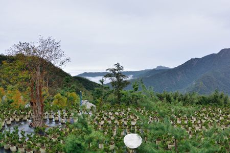 Leisure Farm on Fog and Rain Mountain in the Hsinchu, Taiwan.の写真素材