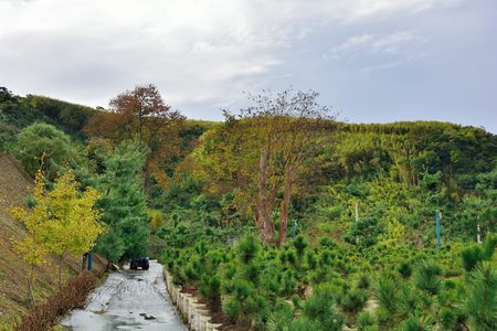 Leisure Farm on Fog and Rain Mountain in the Hsinchu, Taiwan.の写真素材