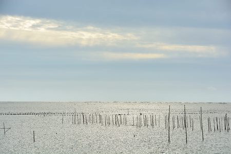 Dongshi Fishing Port Chiayi, Taiwanの写真素材