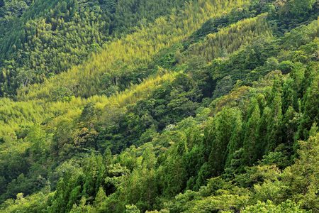 Green background, beautiful mountain view.の写真素材
