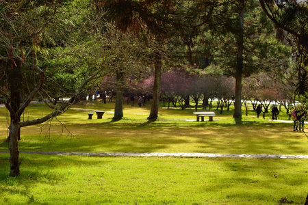 Mountain landscape-Mountain View Resort in the Taichung County,Taiwan.の写真素材