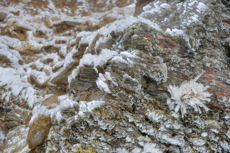 Belongs to the subtropical zone, with snow on the mountain, in Hehuan Mountain, Taiwanの写真素材