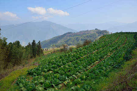 Mountain landscape-Mountain View Resort in the Hsinchu,Taiwan.の写真素材
