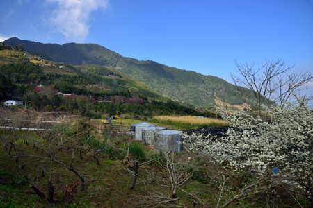 Mountain landscape-Mountain View Resort in the Hsinchu,Taiwan.のeditorial素材