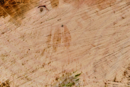 Wood-texture background in the mountains of Taiwan.の写真素材