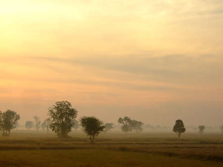 countryside field in late the fog , with beautiful sunlight ,の写真素材