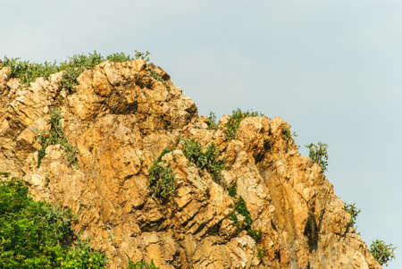 the tree and stone cliff and the skyの写真素材