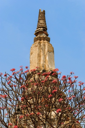 the pagoda and tree flower red is ancient the tourist attraction of Thailandの写真素材