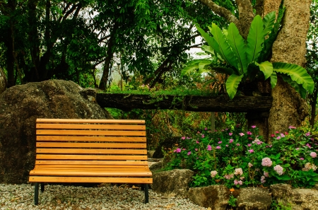 Chair in the empty garden in thailandの写真素材