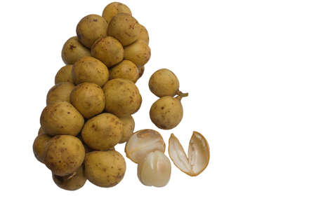 Lansium domesticum Corr's tasty sweet flesh