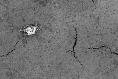 groundの写真素材