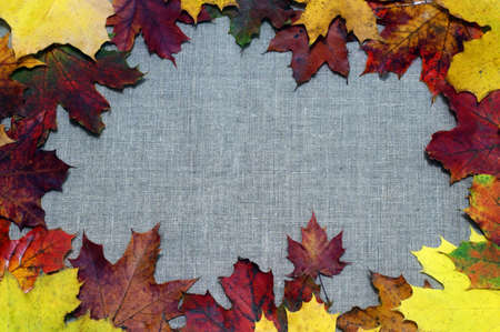 Background of autumn leaves on fabricの写真素材