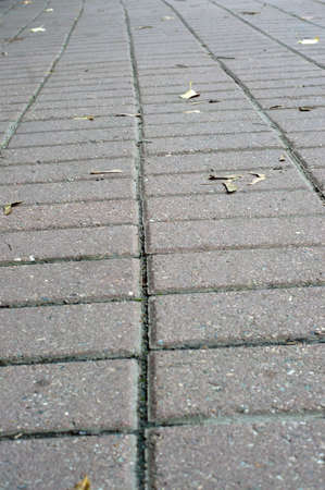 Texture path of stone tiles with autumn leavesの写真素材