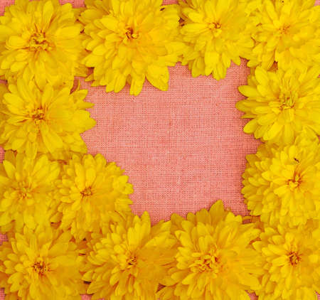 Frame of yellow flowers against a background of pink cloth                               の写真素材