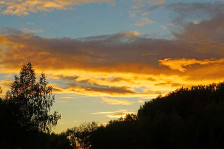 Black silhouettes of trees on a background of a bright sunset sky with cloudsの写真素材