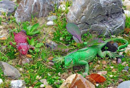 Plastic figures of two lizards on the rock gardenの写真素材