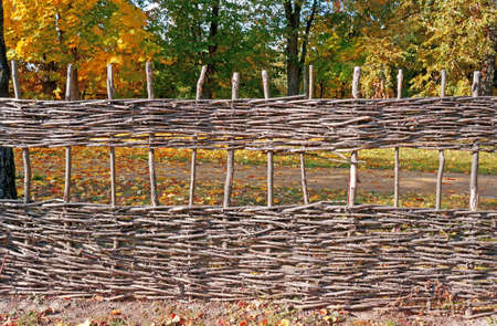 Wicker fence against the backdrop of autumn treesの写真素材
