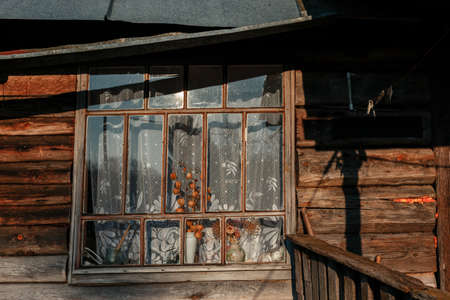 Dying Ozereshno village, Vyritskoe urban settlement, Gatchinsky district, Leningrad region, Russiaの写真素材