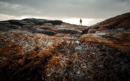 Barents Sea coast near Teriberka village, Murmansk region, Russia, autumn landscape, man silhouetteの写真素材
