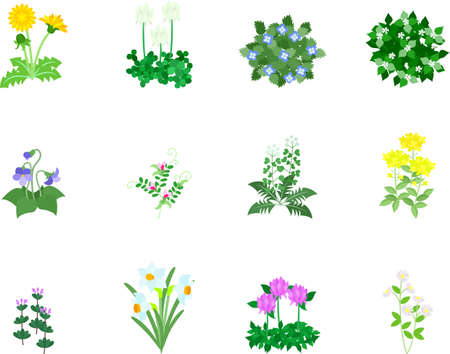 12 Icons of spring flower のイラスト素材