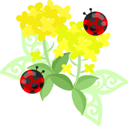 The illustration of beautiful brassicaのイラスト素材