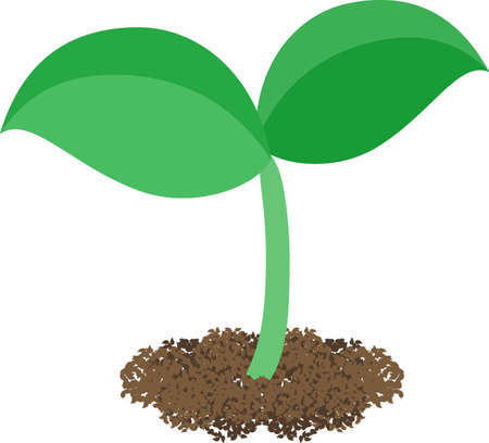 The illustration of a bud on white background.のイラスト素材