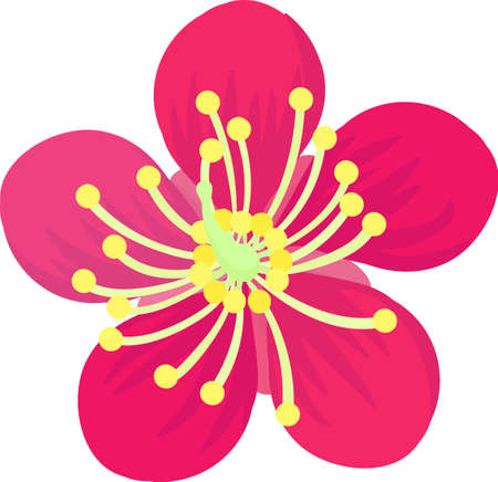 The illustration of red plum blossomsのイラスト素材