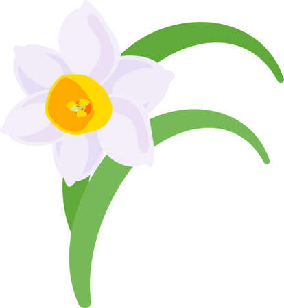 The illustration of pretty narcissusのイラスト素材