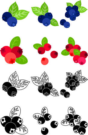 The cute icons of blueberries and cranberriesのイラスト素材