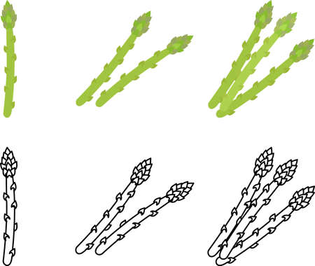 The cute icons of asparagusのイラスト素材