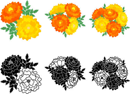 The cute icons of marigoldのイラスト素材