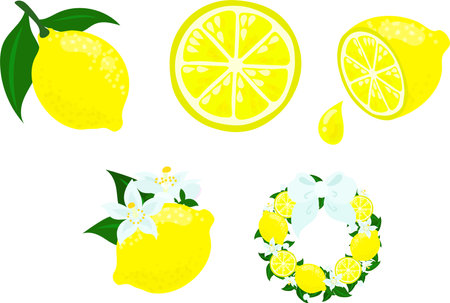 The icon set of cute and refreshing lemon such as fruit and flower and wreathのイラスト素材