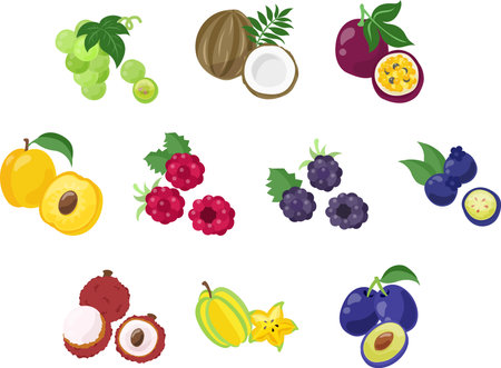 The colorful icon set of cute and delicious various fruits such as muscat and coconut and passion fruit and apricot and raspberry and blackberry and blueberry and lycheeのイラスト素材