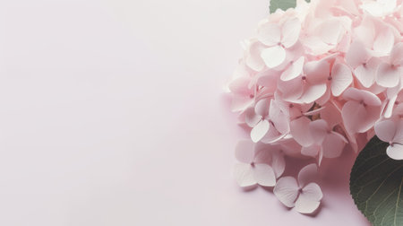 Delicate pink hydrangea with green leaves on a pale pink background with copy space. Created using AI Generated technology and image editing software.の素材