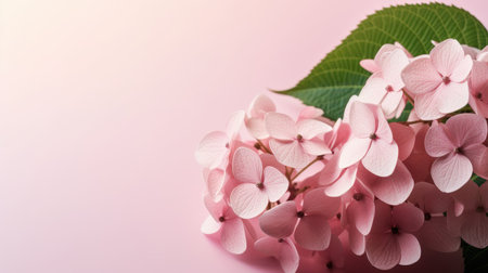 Pink hydrangeas with green leaves on a light pink background with copy space. Created using AI Generated technology and image editing software.の素材