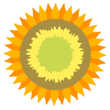 Sunflower vector illustrationのイラスト素材