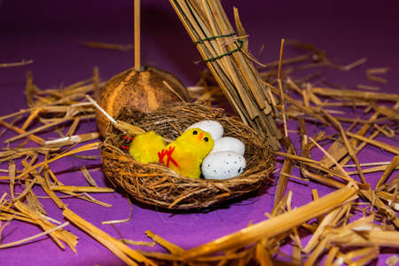 Chickens, eggs and wood all togetherの写真素材