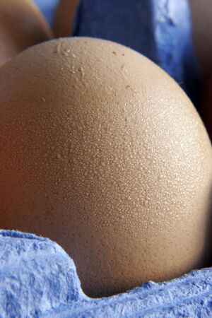 Close up of egg