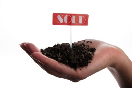 Sold sign and soil in hand isolated on white backgroundの写真素材