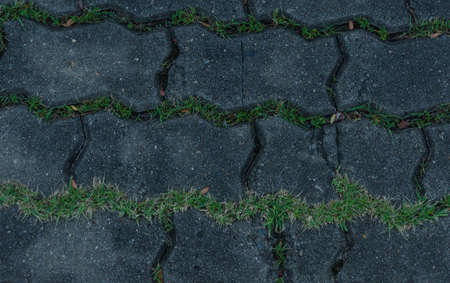 pattern of brick pavementの写真素材