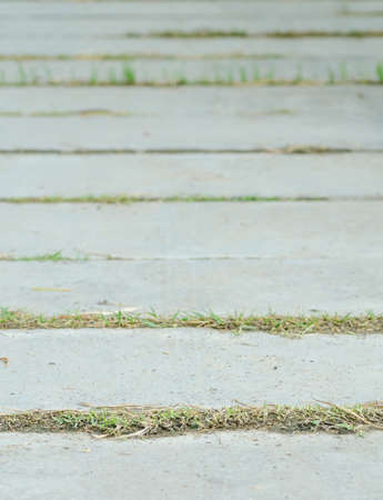 pattern of pavement in the gardenの写真素材