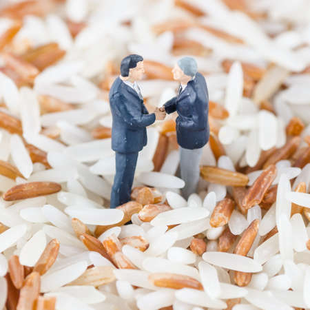 miniature businessman standing on the rice seedの写真素材