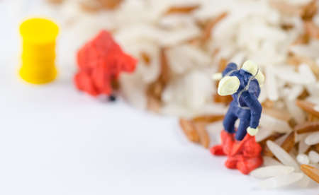 miniature scientist testing chemical in rice seedの写真素材