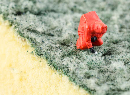 miniature scientist checking bacterial on the cleaning padの写真素材