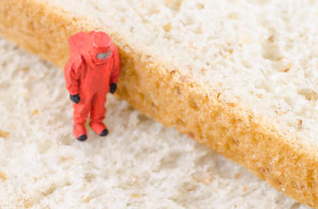 miniature scientist checking bacteria on the bread