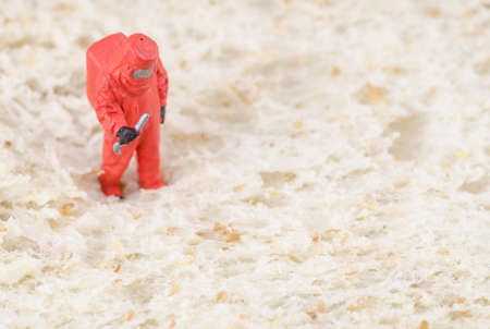 miniature scientist checking bacteria on the breadの写真素材