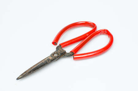 Isolated rusty scissorの写真素材