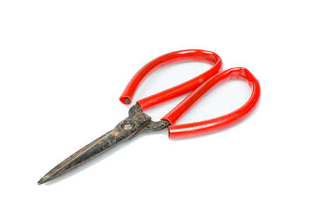 Isolated rusty scissorの写真素材