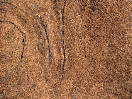 High resolution, Tree bark texture, Seamless tileable texture.の写真素材