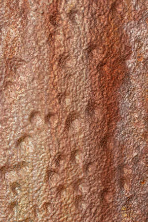Closeup of the colours and texture of rusty metal.の写真素材